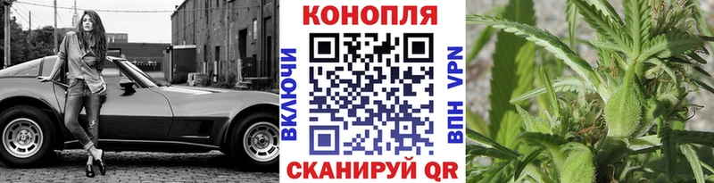 Бошки марихуана гибрид  hydra ССЫЛКА  Тогучин 